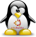 Penguin pingouin pinguino 922
